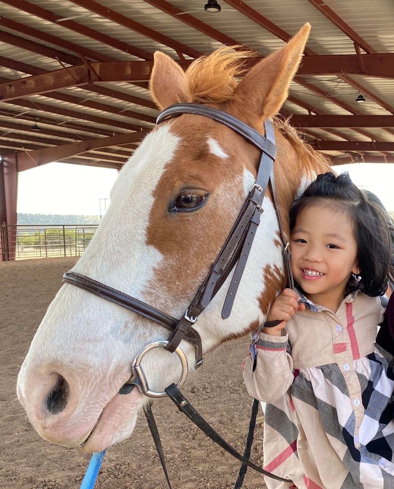 Girl smiling with a brown and white horse.