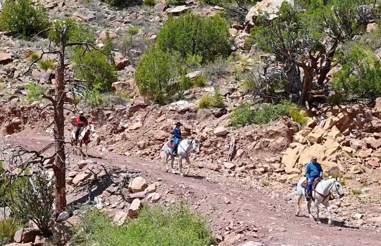 Horseback riders on rocky mountain trail.