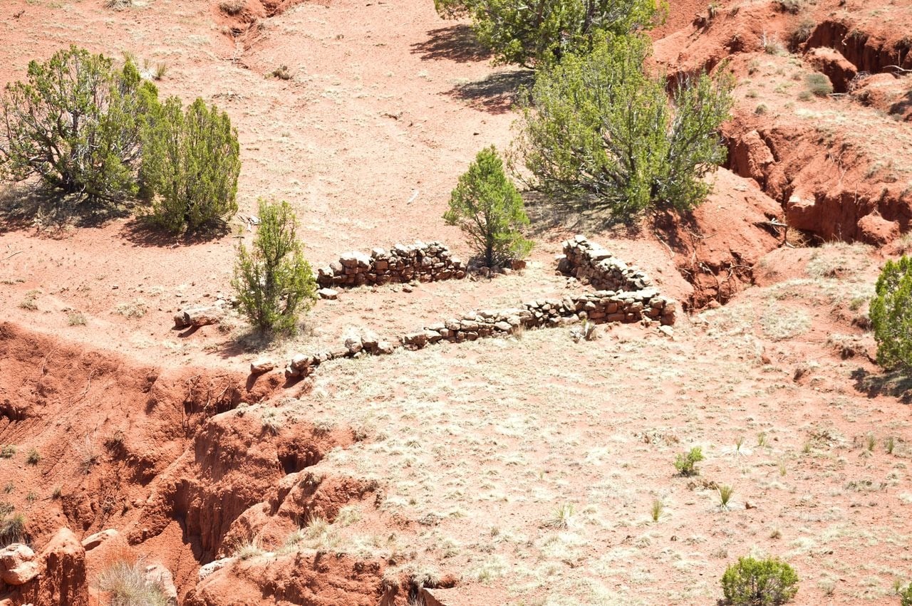 Desert landscape with green shrubs and stone ruins.