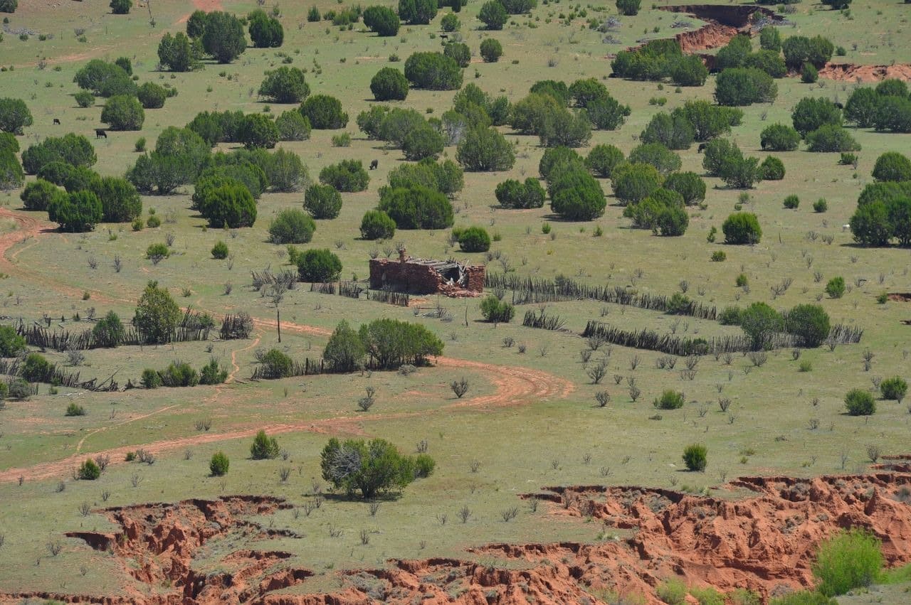 Rural landscape with green trees and a ruined building.