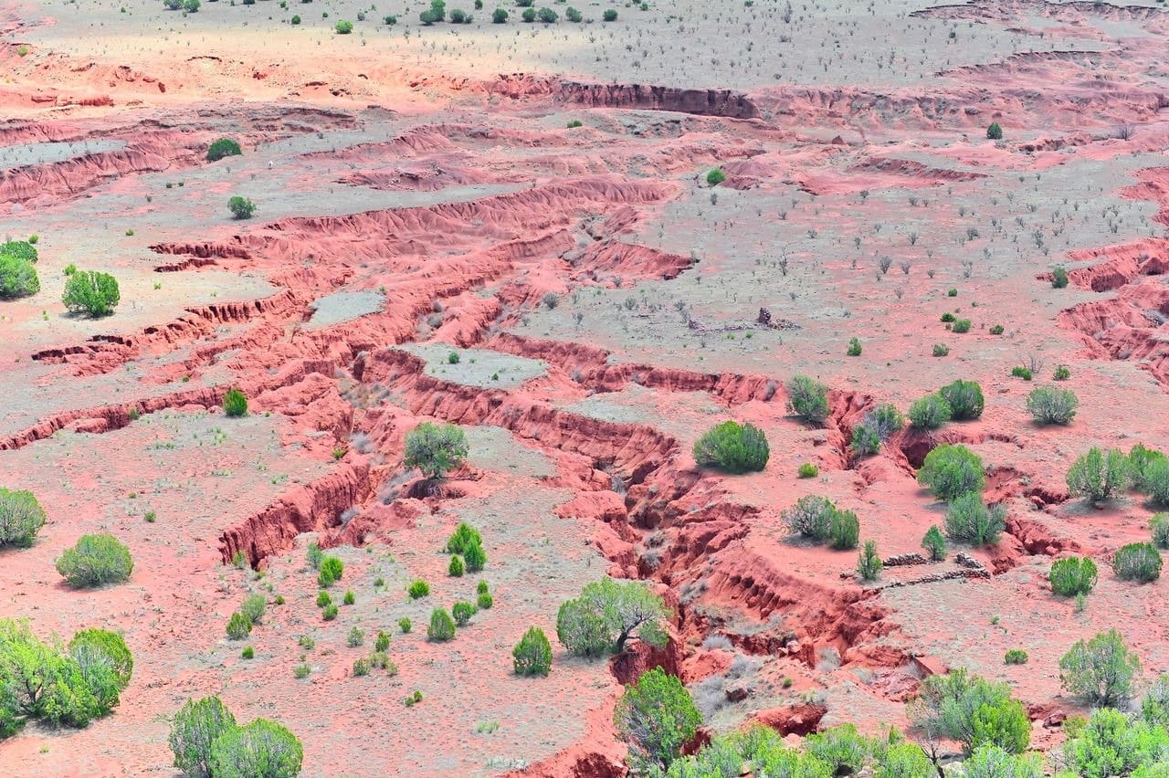 Red desert landscape with sparse green vegetation.