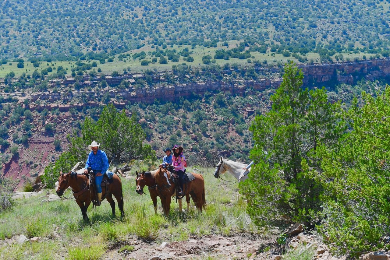 Three riders on horseback in scenic canyon landscape.