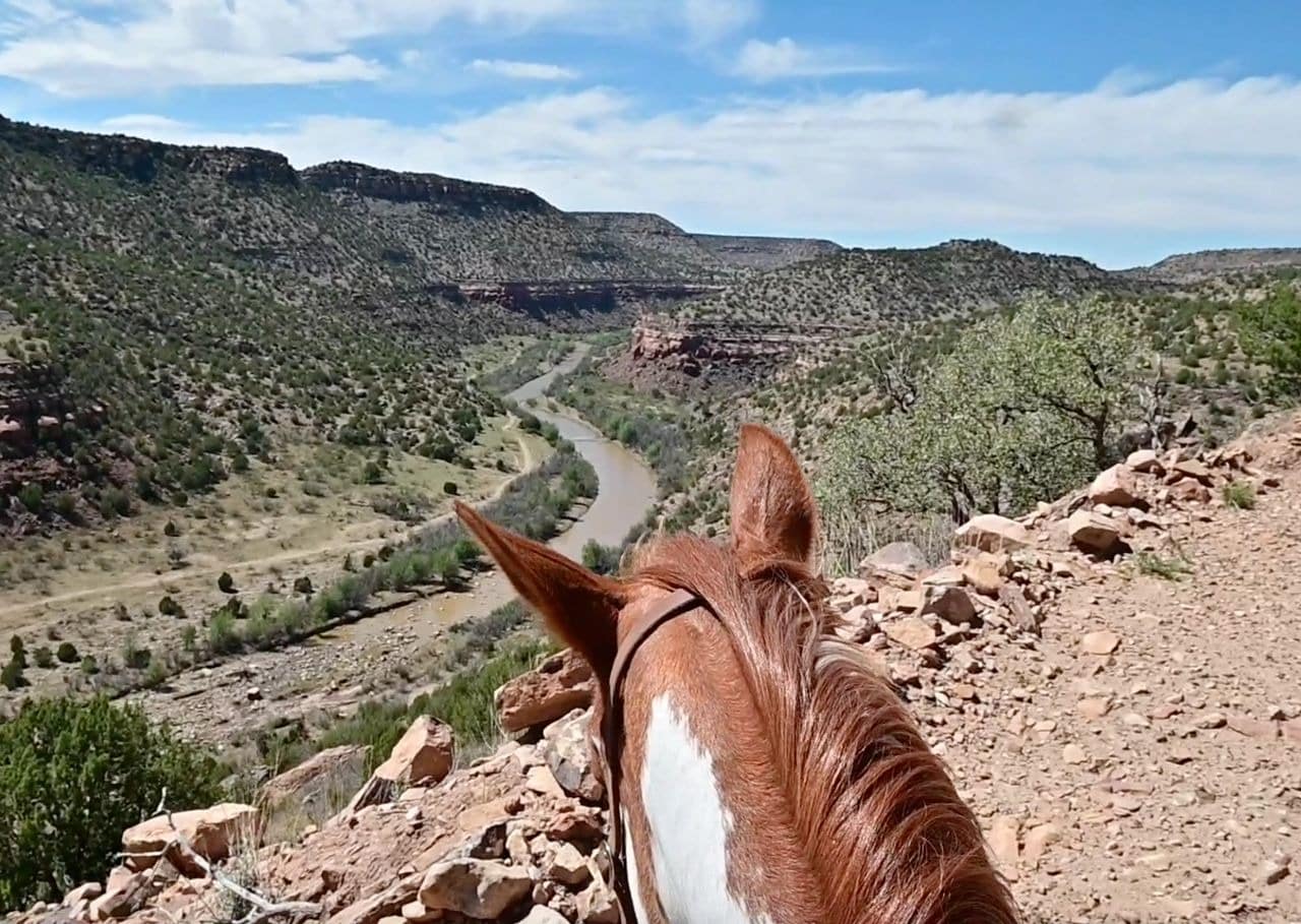 Horseback riding overlooking scenic river canyon.