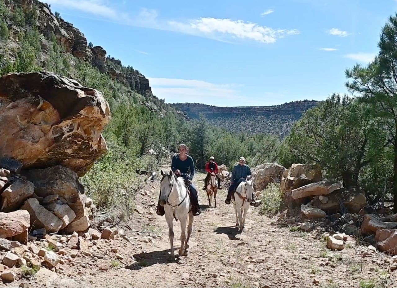 People horseback riding on mountain trail.