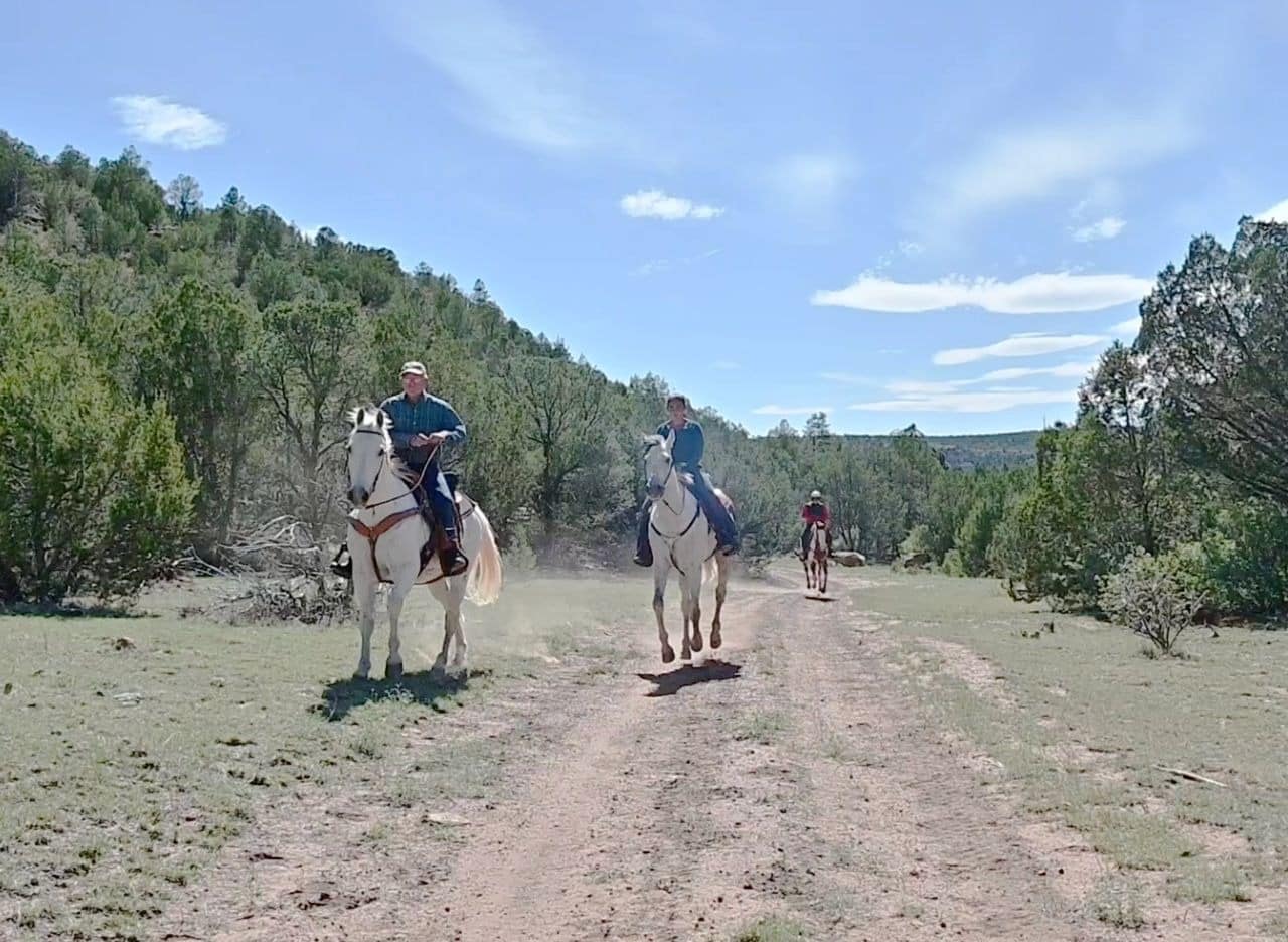 People horseback riding on a trail in nature.