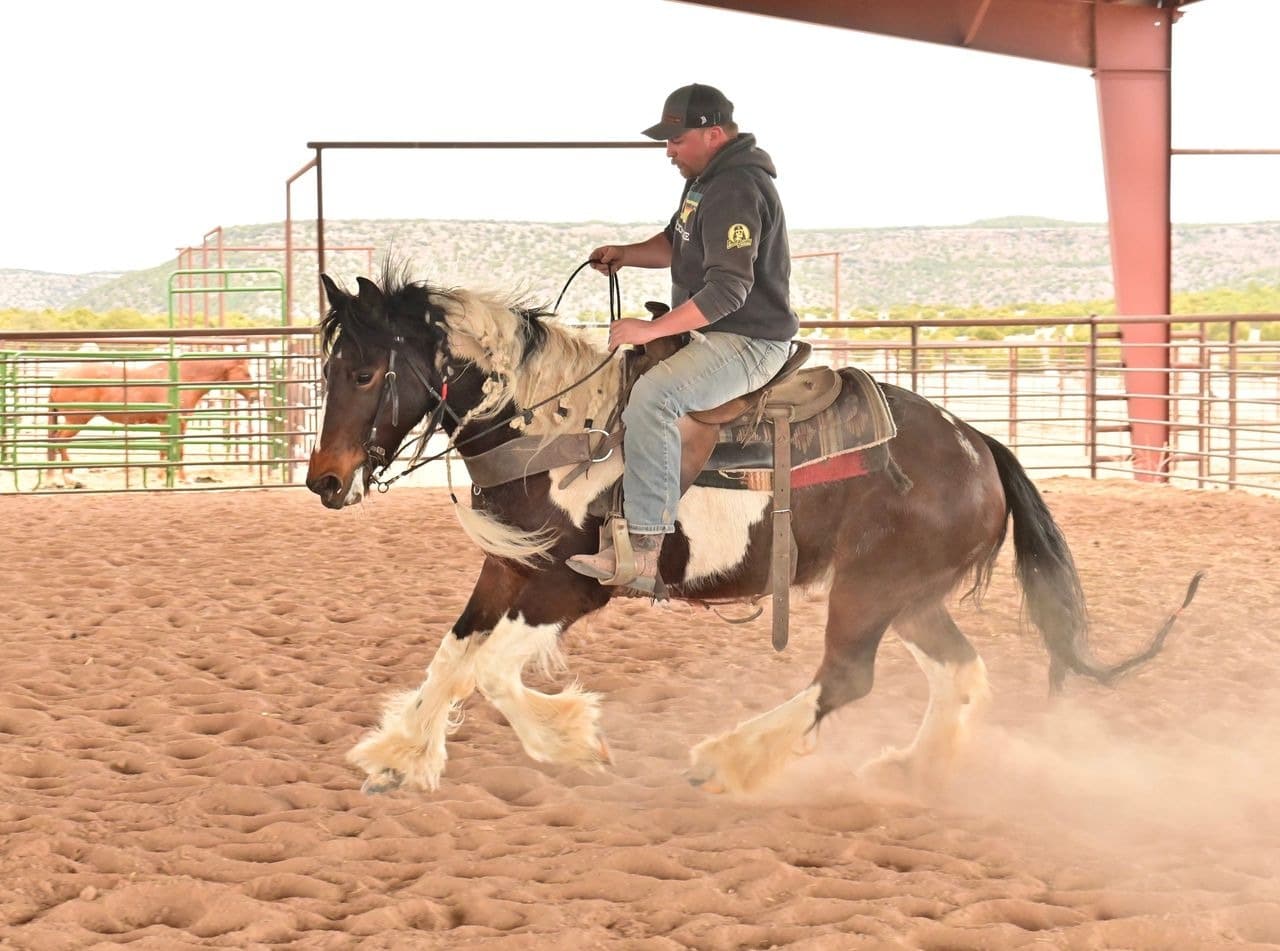 Man riding a horse in an arena.