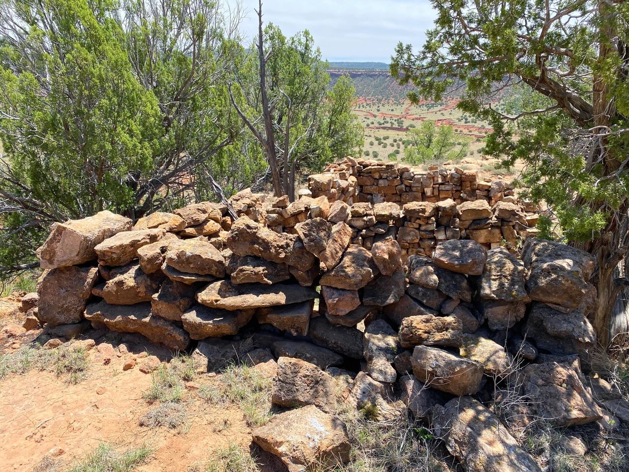 Rocky ruins in desert landscape with greenery.