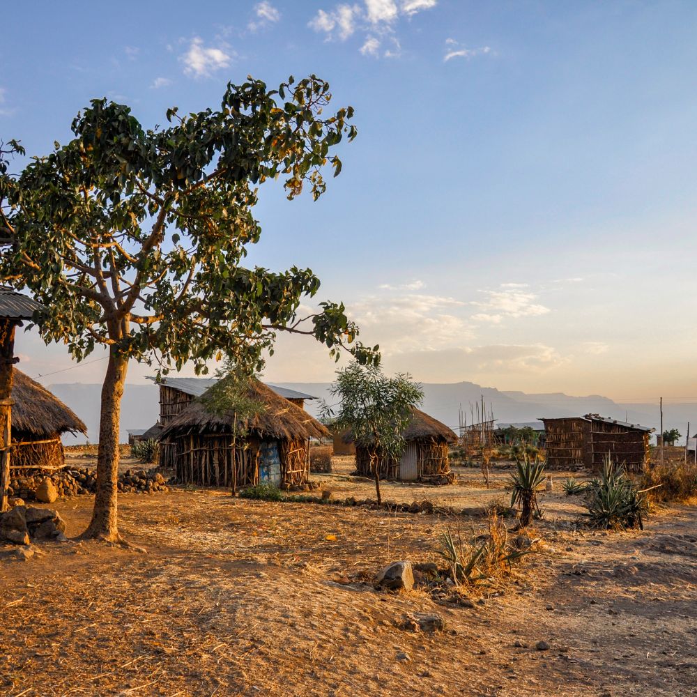 24 Hours at Canyon Madness Ranch: A Journey Through Nature, Adventure ...