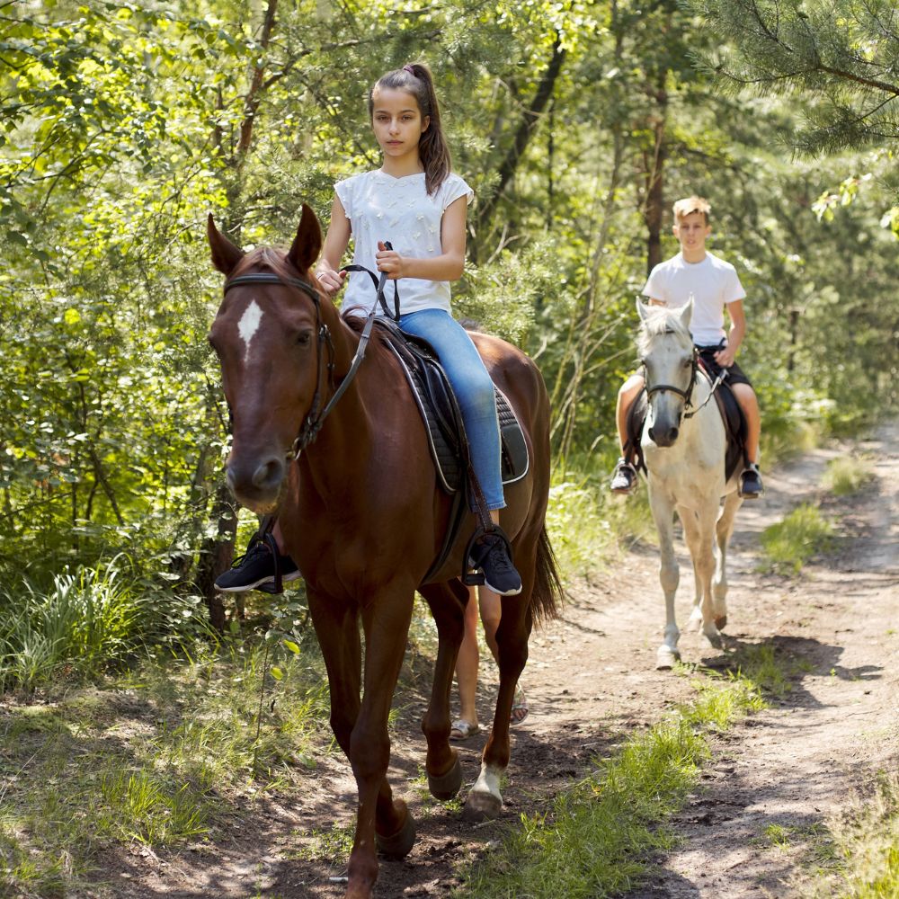 Horse Riding Exploring Your Vacation Guide